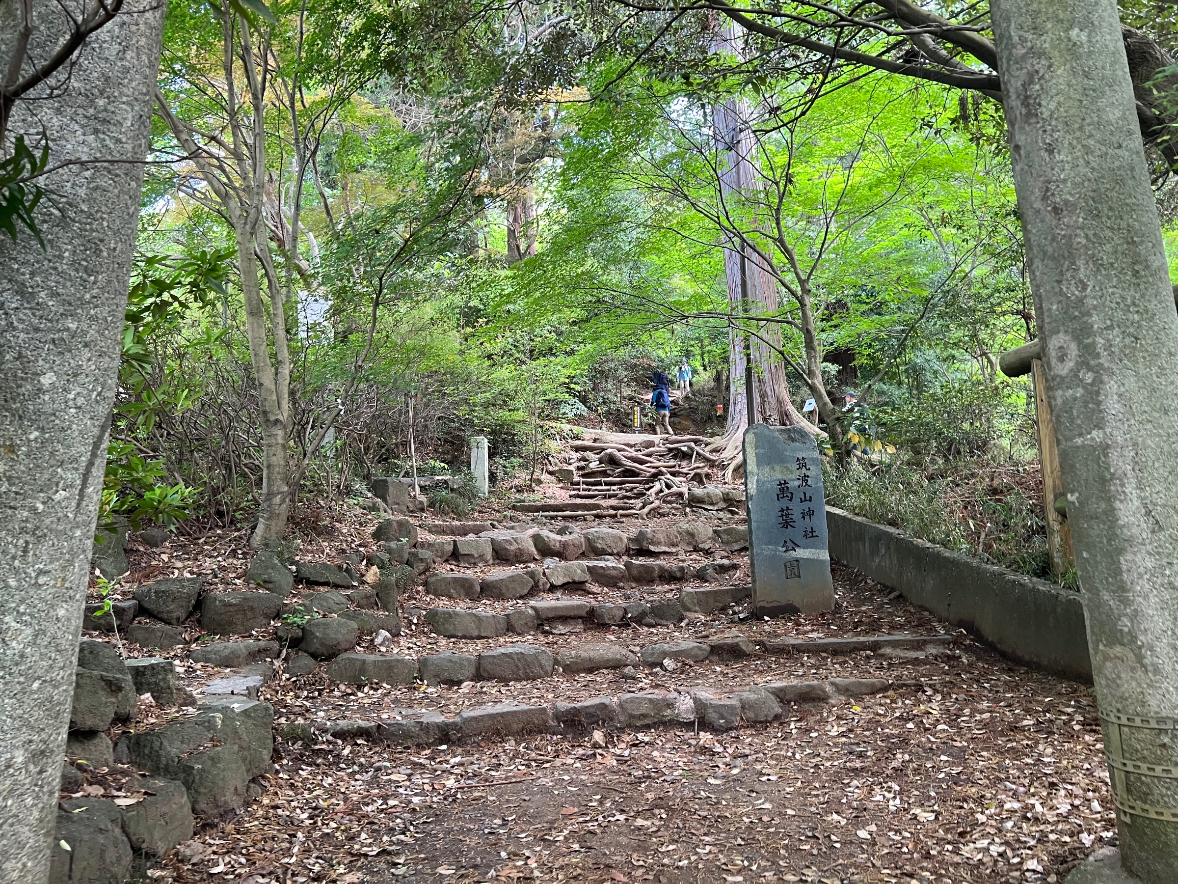 【写真：登山口】