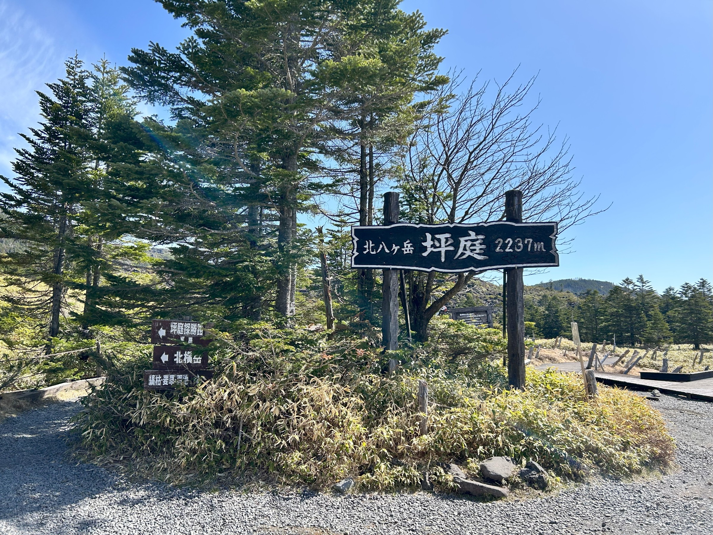自分で撮った画像です