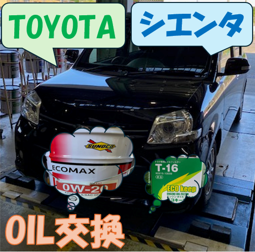 スタッフが撮影しました