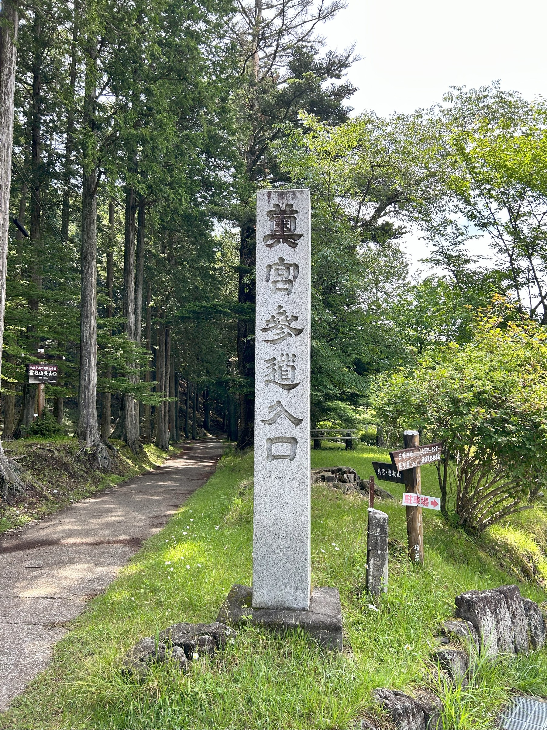 自分で撮った画像です