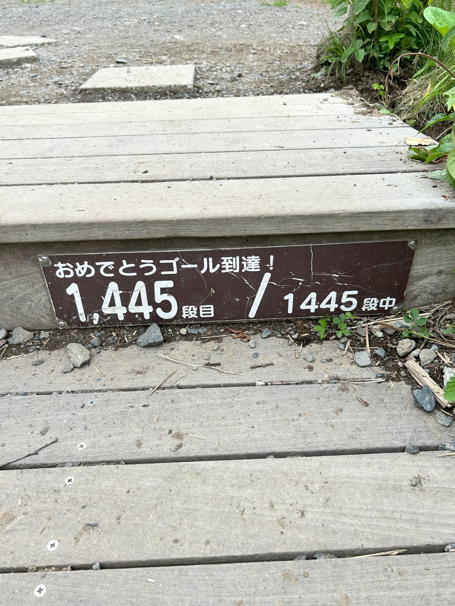 自分で撮った画像です