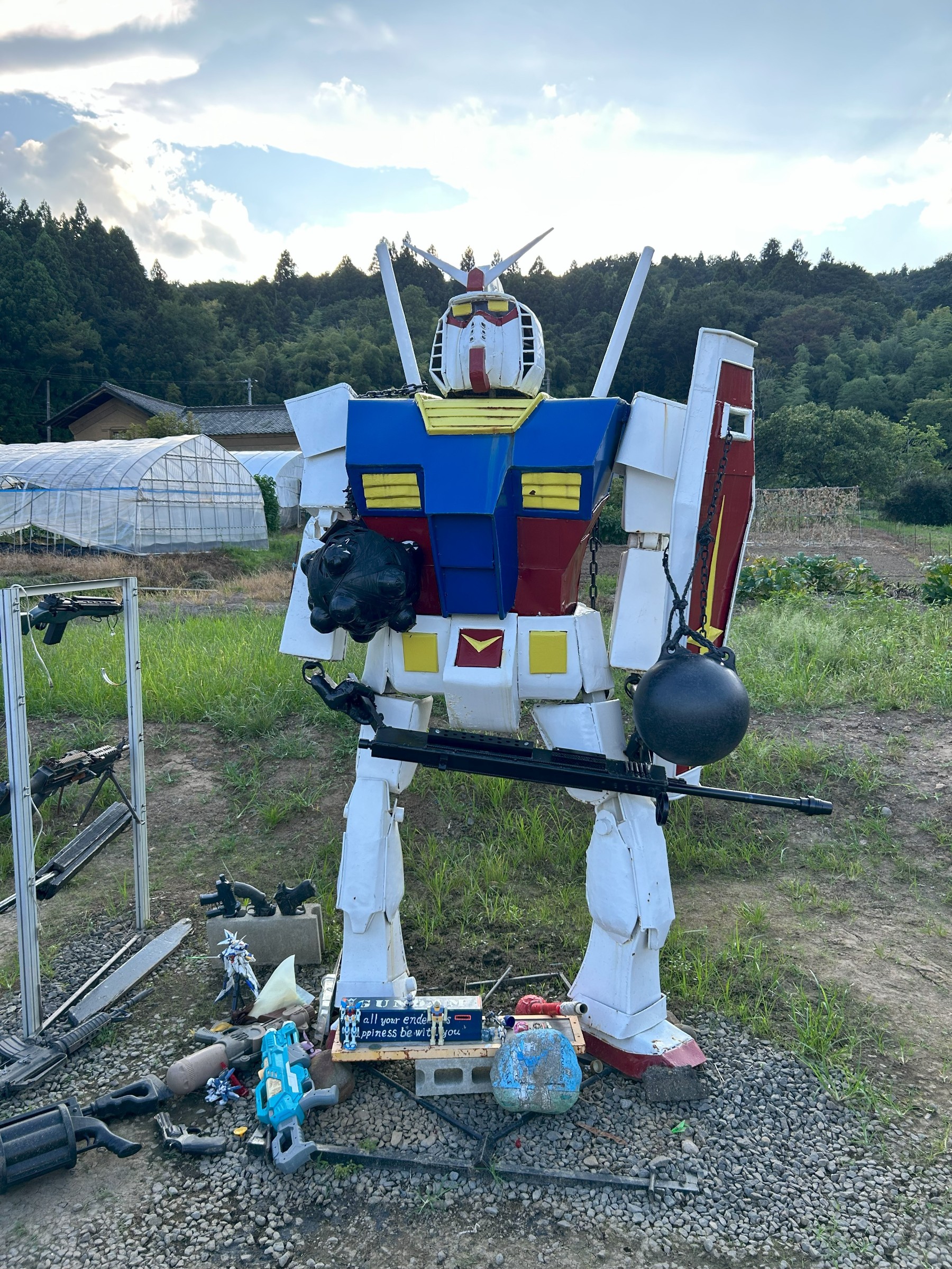 自分で撮った画像です