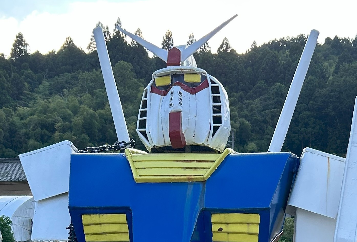 自分で撮った画像です