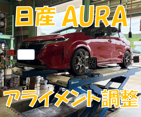 スタッフが撮影しました