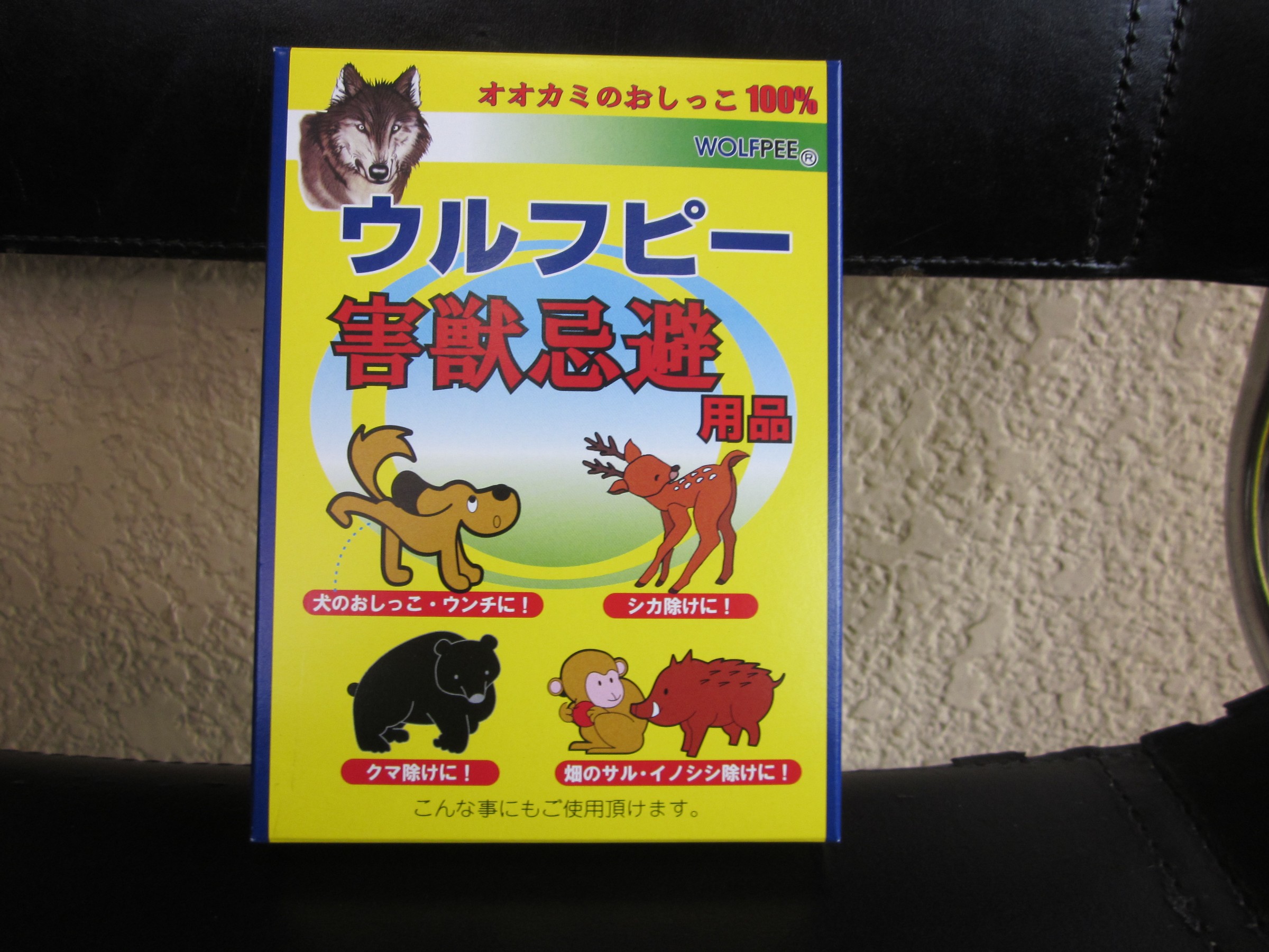 ヒナ鳥がイタチにさらわれた スタッフ日記 ミスタータイヤマン 高槻店 大阪府 和歌山県のタイヤ カー用品ショップ ブリヂストンのタイヤ専門店