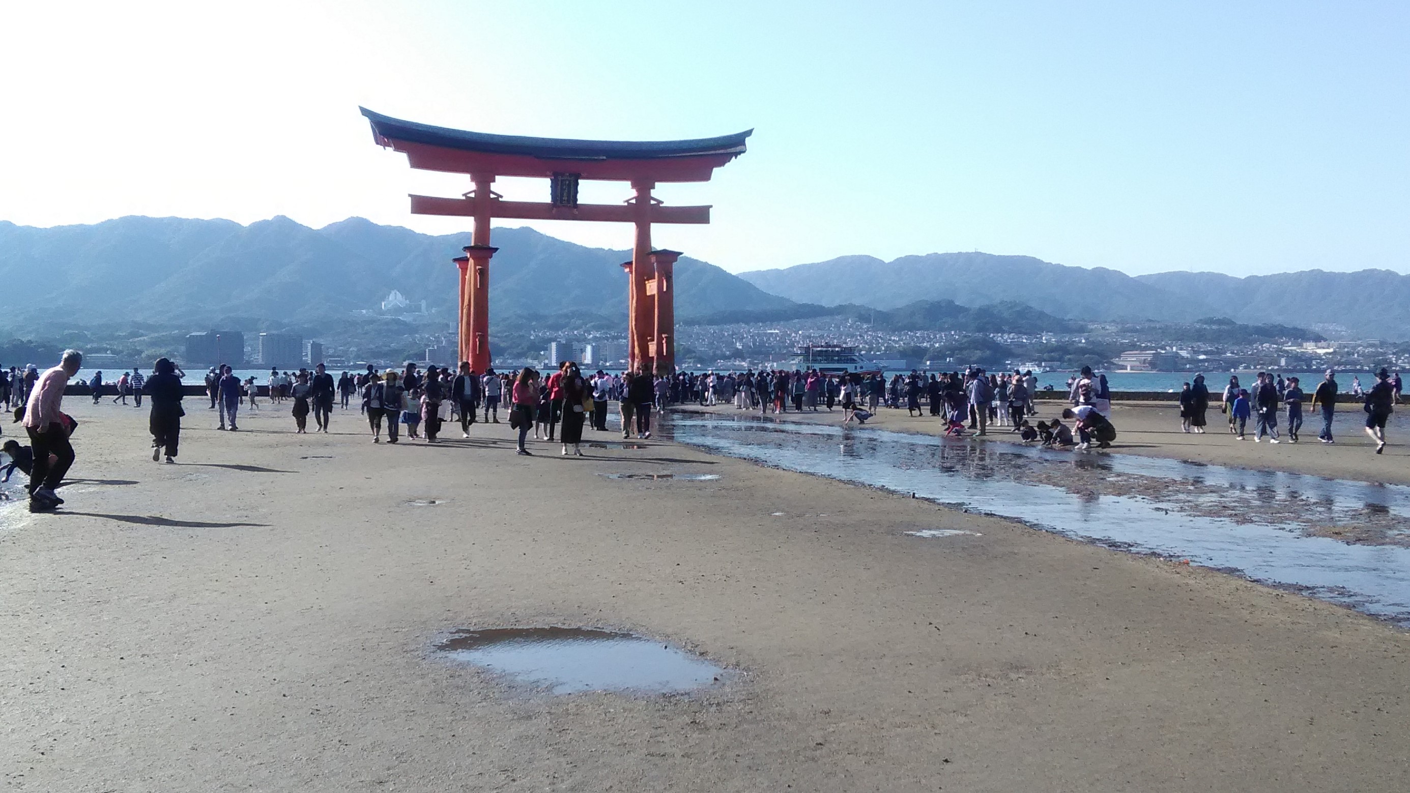 潮、引きました