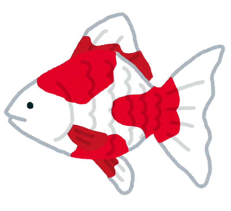 金ちゃーん ﾟヽ ﾟ D ﾟ ﾉﾟ の巻 タイヤウーマンの日記 ミスタータイヤマン 広尾 北海道のタイヤ カー用品ショップ ブリヂストンのタイヤ専門店