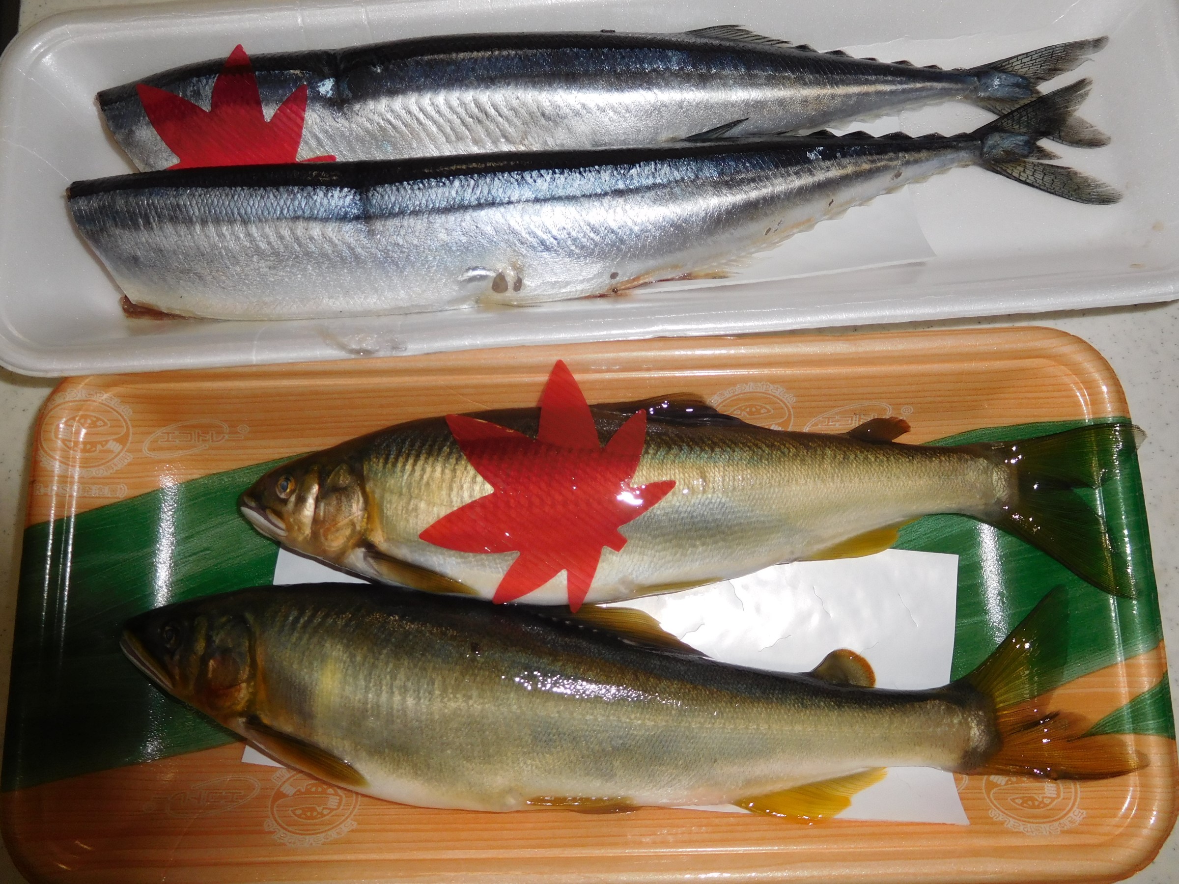 秋の魚 鮎 スタッフ日記 ミスタータイヤマン 観音寺店 香川県のタイヤ カー用品ショップ ブリヂストンのタイヤ専門店