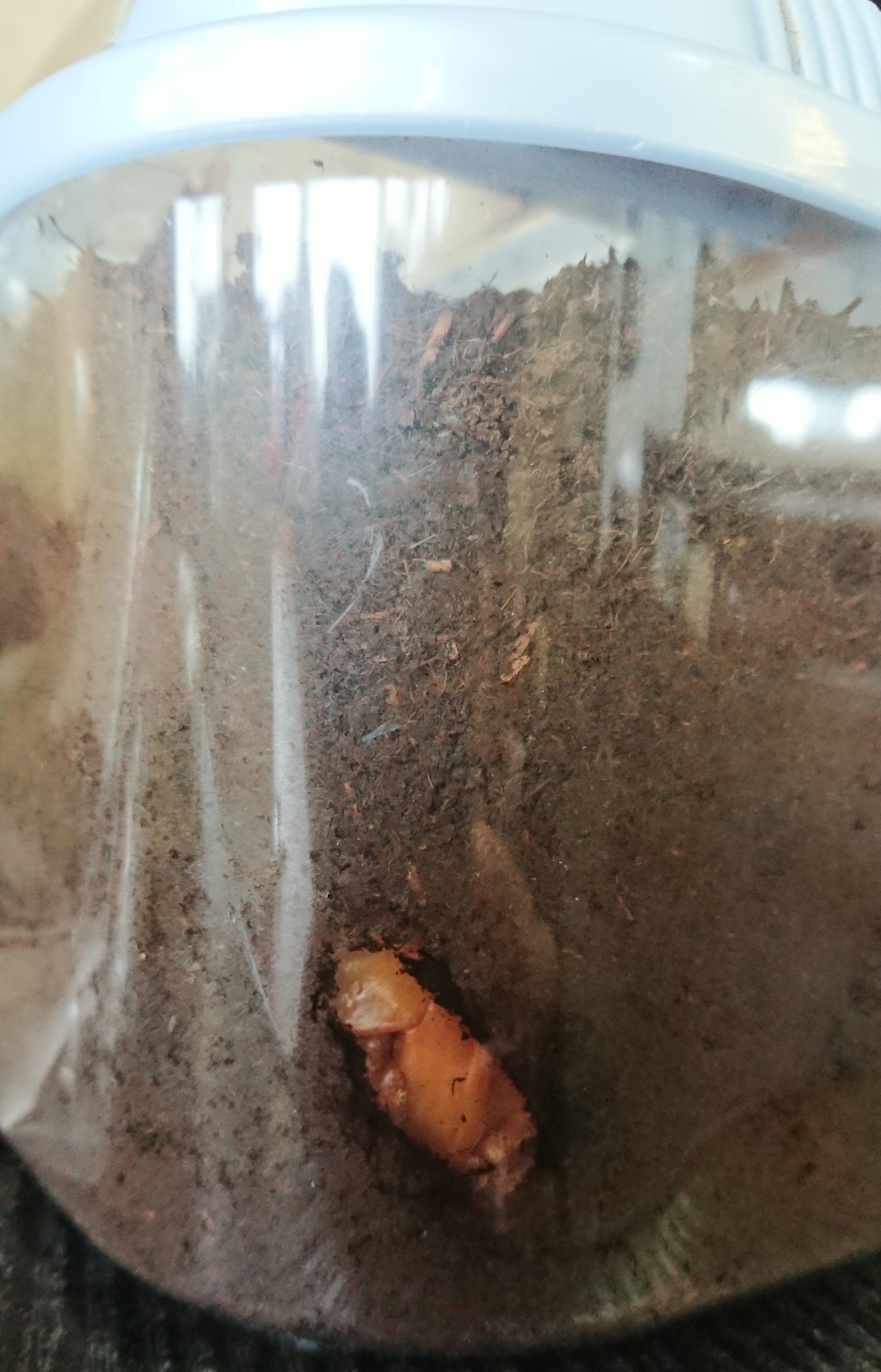 観覧注意 スタッフ日記 ミスタータイヤマン ナカニシ 三重県のタイヤ カー用品ショップ ブリヂストンのタイヤ専門店