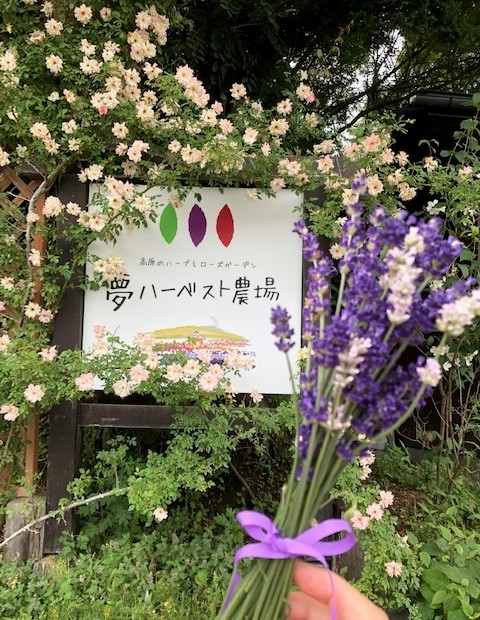 夢ハーベスト農場 スタッフ日記 ミスタータイヤマン 川西店 長野県のタイヤ カー用品ショップ ブリヂストンのタイヤ専門店